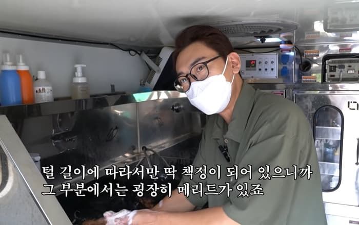 애니멀플래닛
