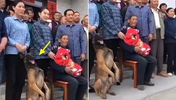 애니멀플래닛