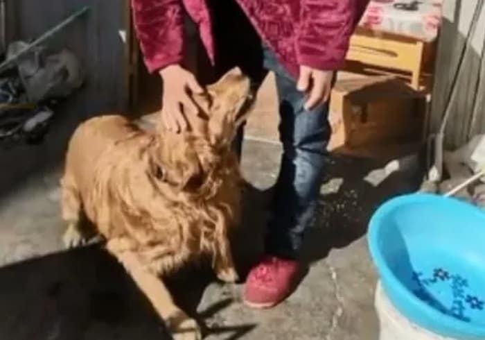 애니멀플래닛
