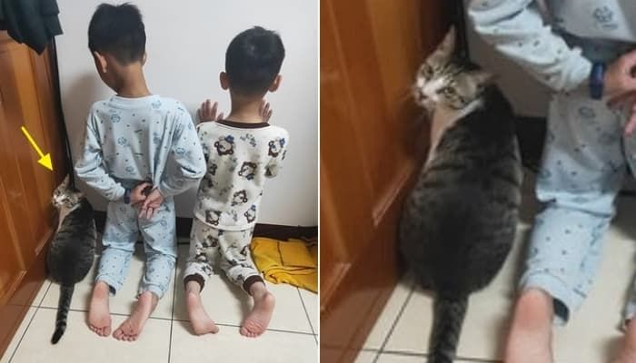 애니멀플래닛