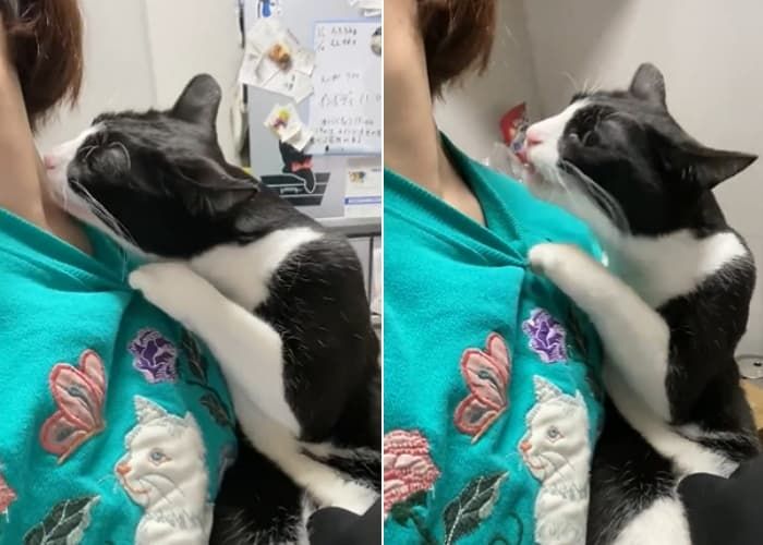 애니멀플래닛
