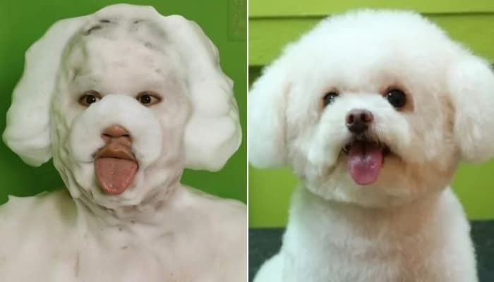 애니멀플래닛