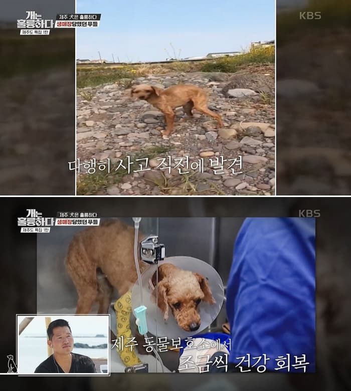 애니멀플래닛