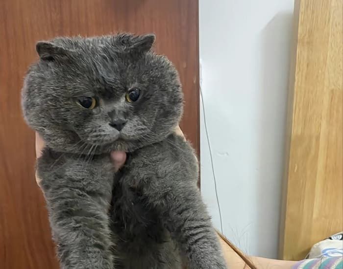 애니멀플래닛