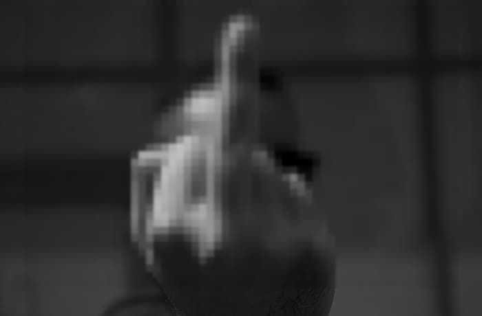 애니멀플래닛