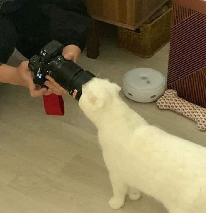 애니멀플래닛