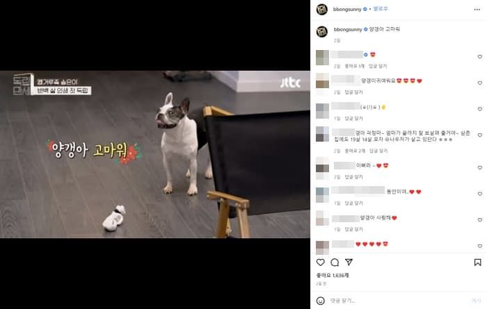 애니멀플래닛