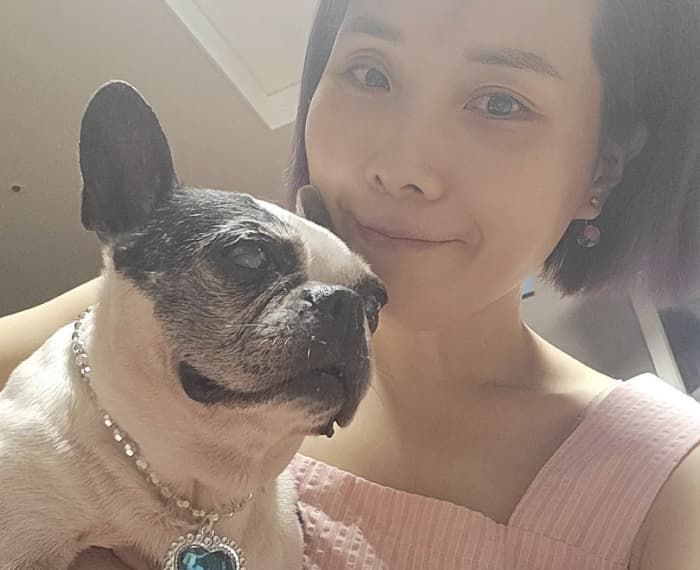 애니멀플래닛