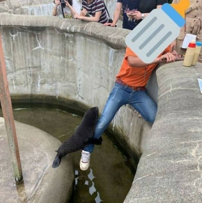 애니멀플래닛