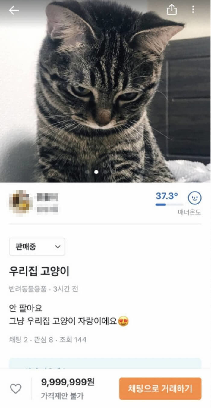 애니멀플래닛