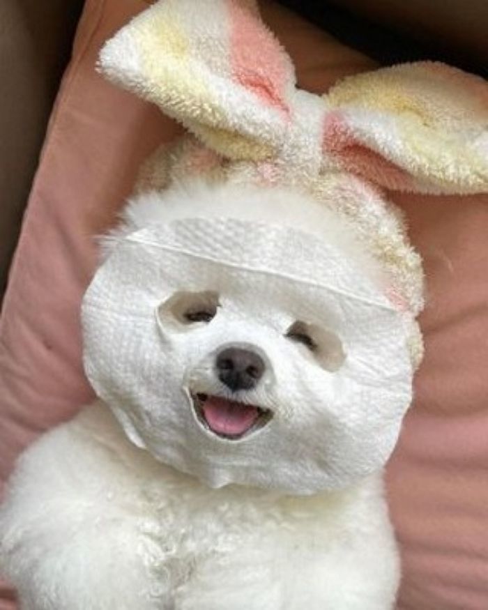 애니멀플래닛
