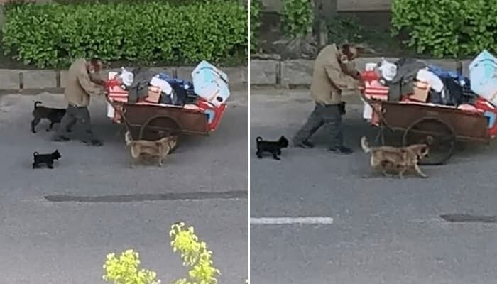 애니멀플래닛