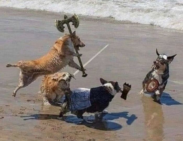 애니멀플래닛