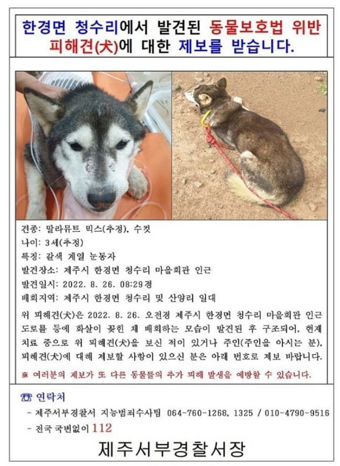 애니멀플래닛