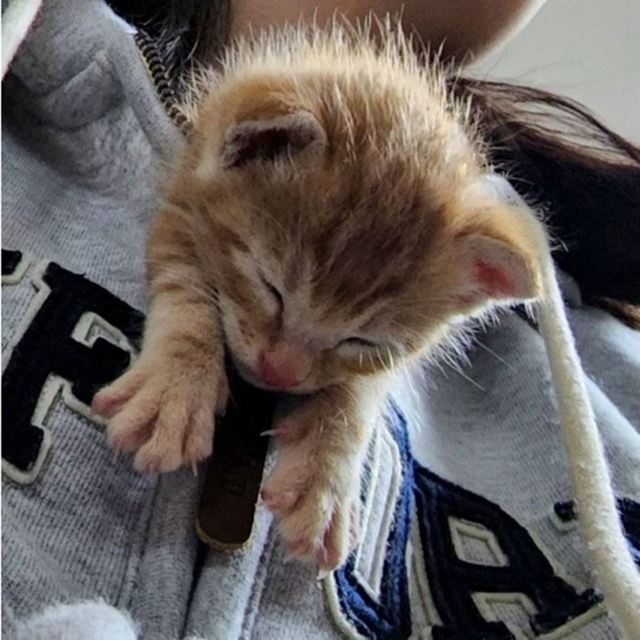 애니멀플래닛