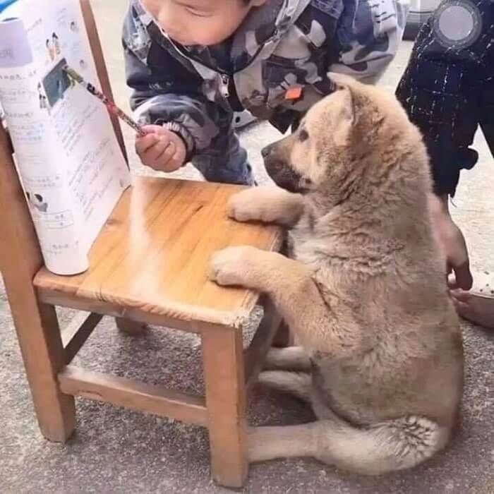 애니멀플래닛