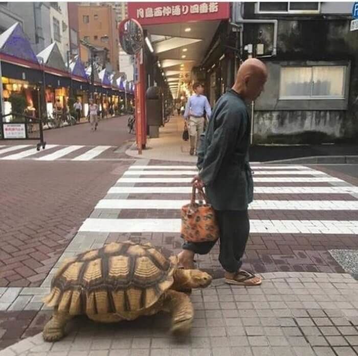 애니멀플래닛
