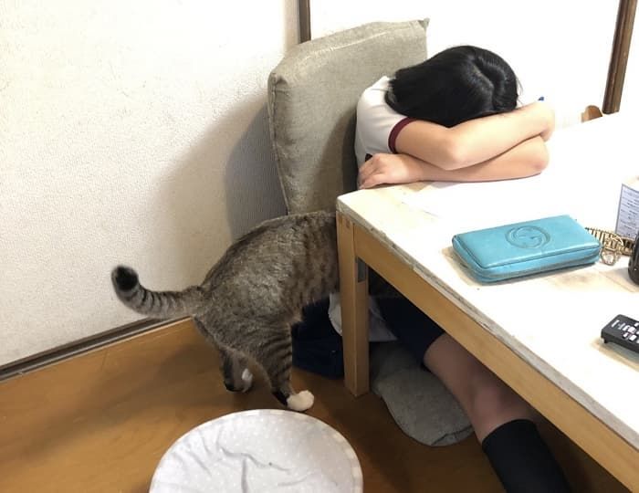 애니멀플래닛