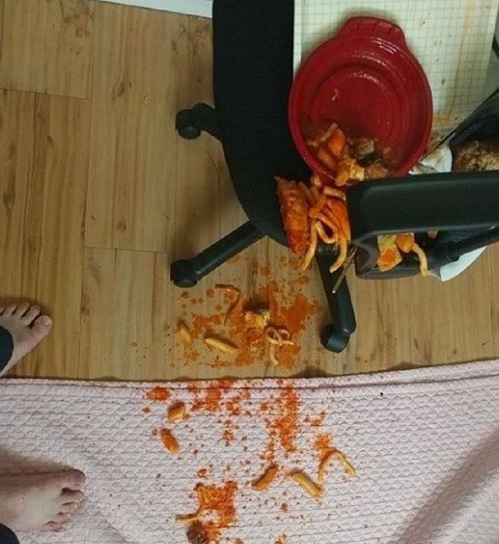 애니멀플래닛