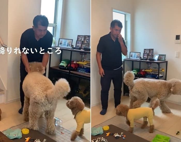 애니멀플래닛