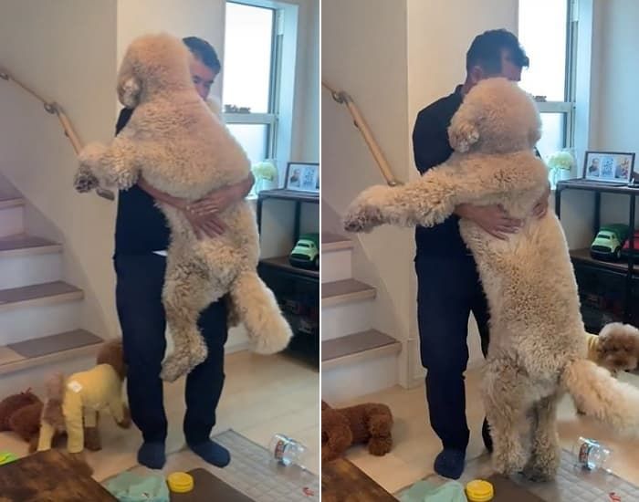 애니멀플래닛