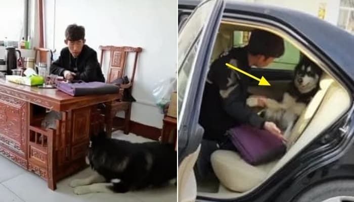 애니멀플래닛