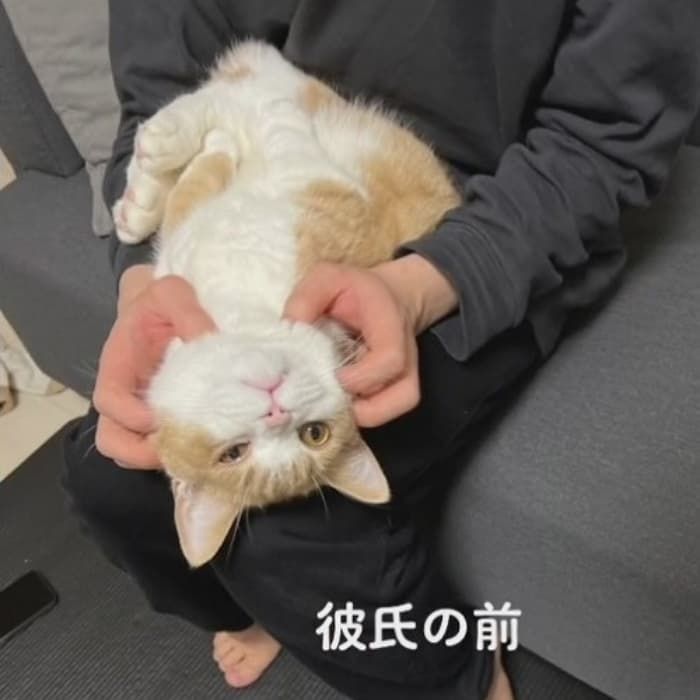 애니멀플래닛