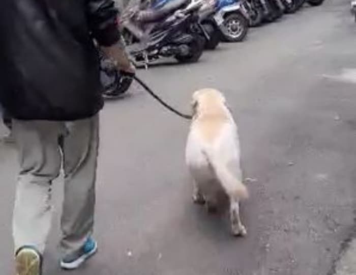애니멀플래닛