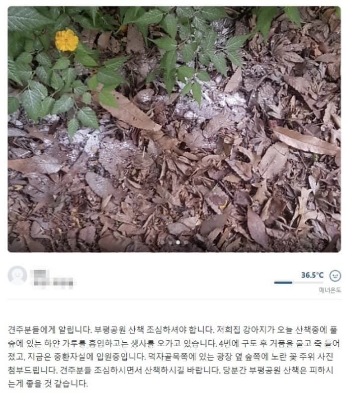 애니멀플래닛