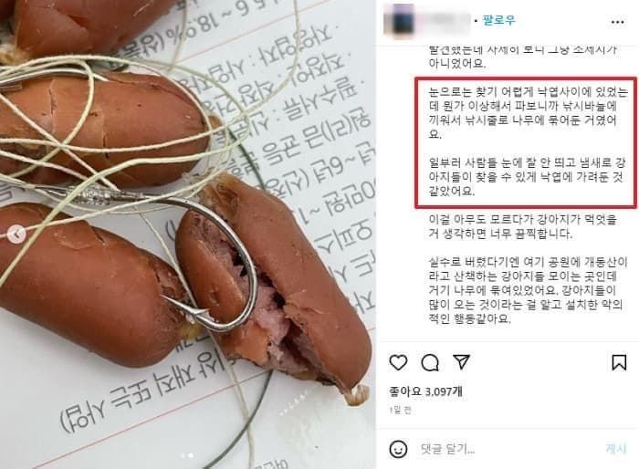 애니멀플래닛