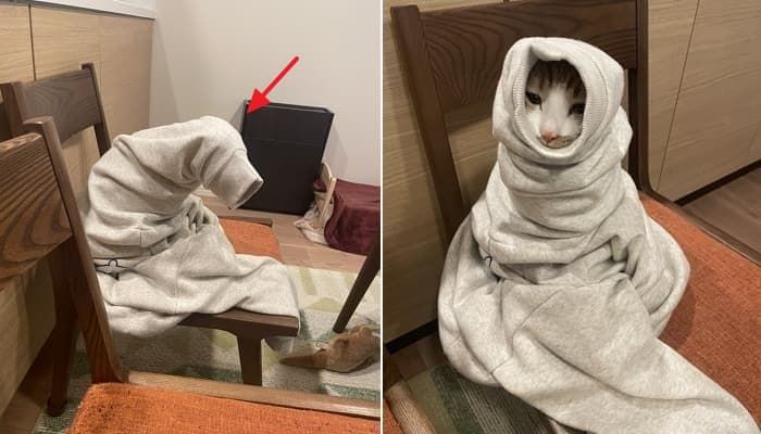 애니멀플래닛