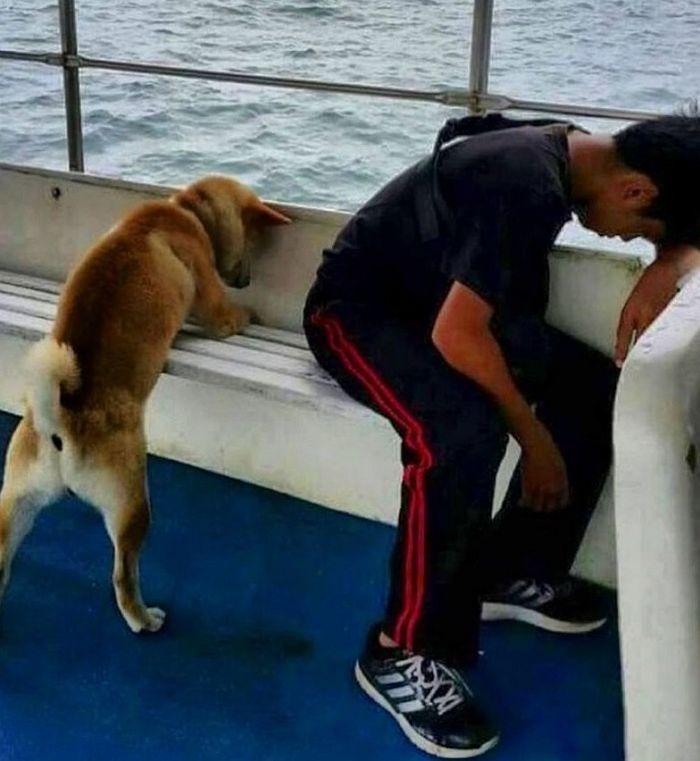 애니멀플래닛