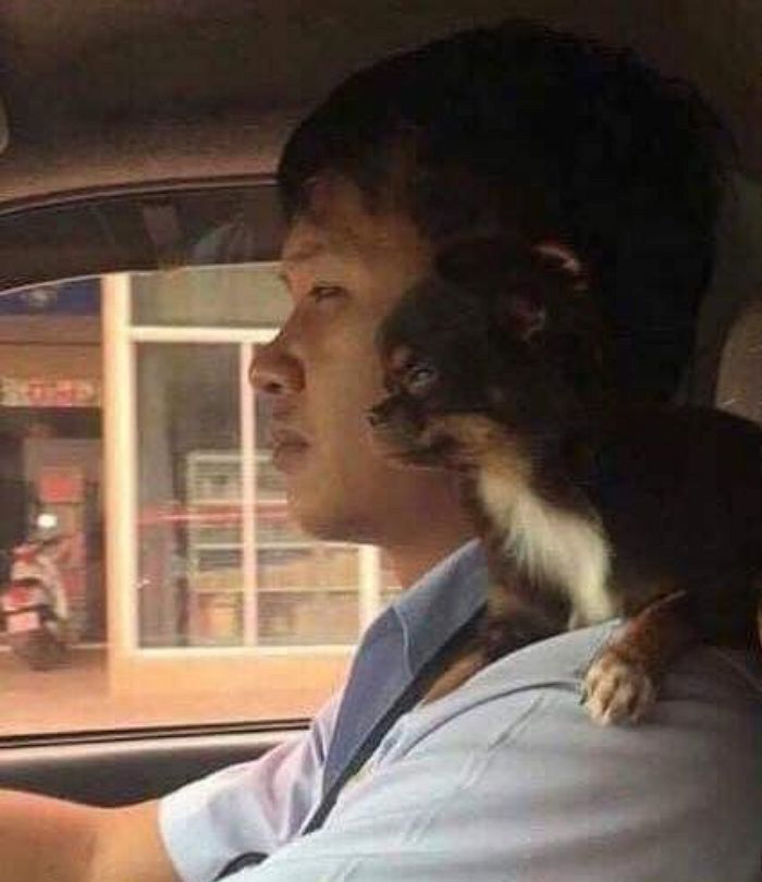 애니멀플래닛