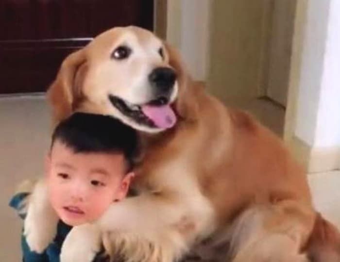 애니멀플래닛