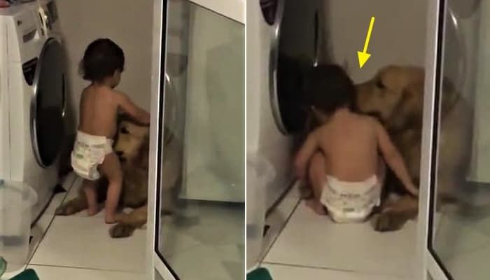 애니멀플래닛