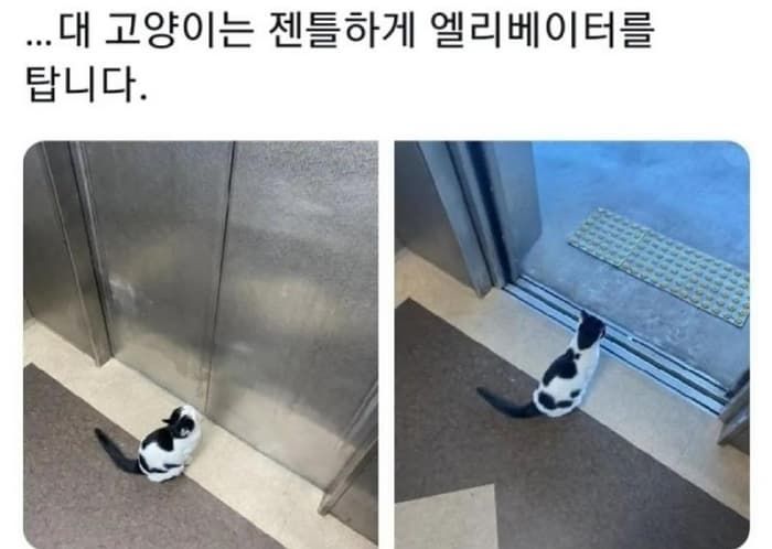 애니멀플래닛
