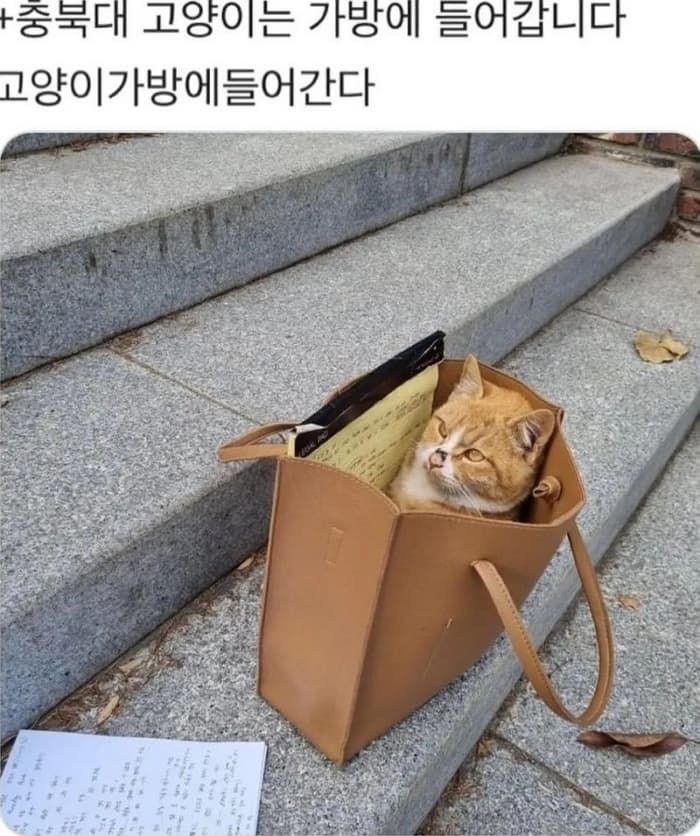 애니멀플래닛
