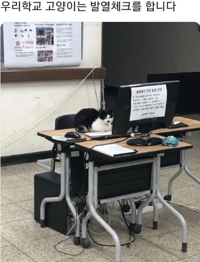 애니멀플래닛