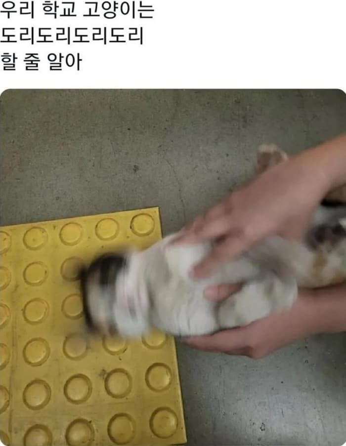 애니멀플래닛