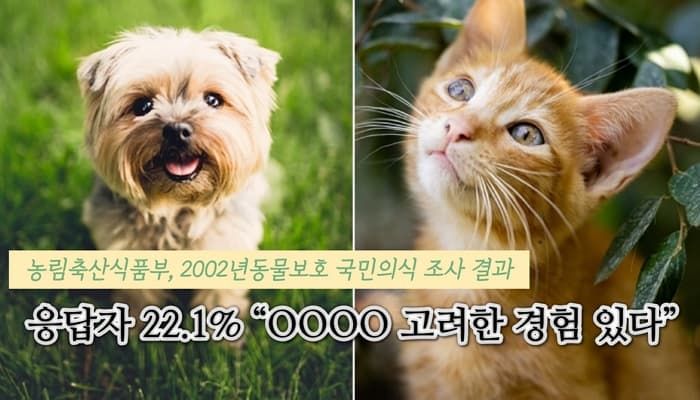 애니멀플래닛
