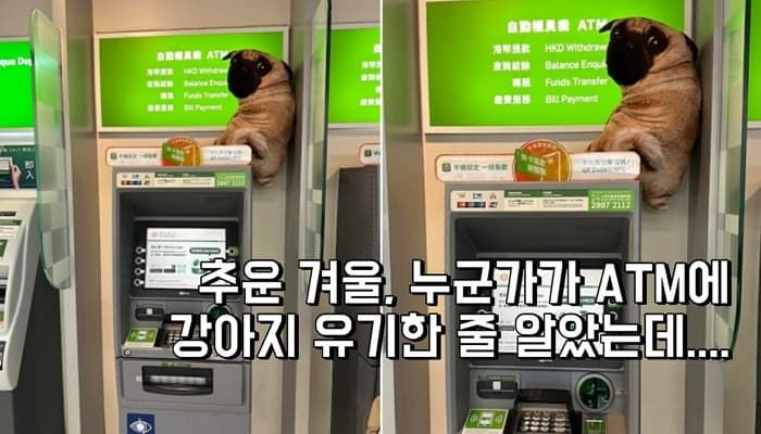 애니멀플래닛