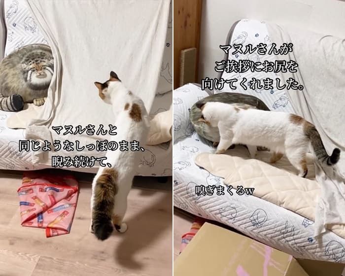 애니멀플래닛