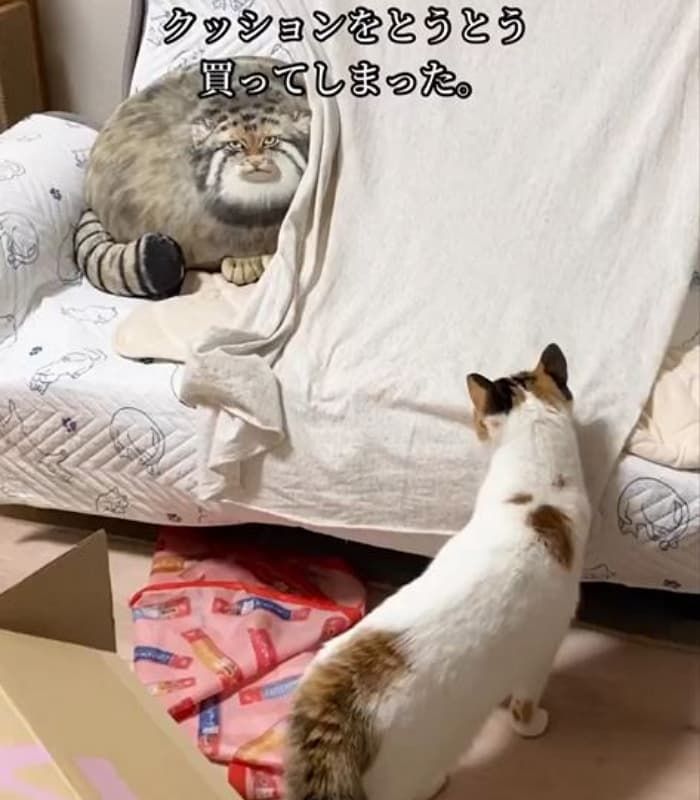 애니멀플래닛