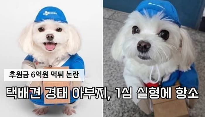 애니멀플래닛