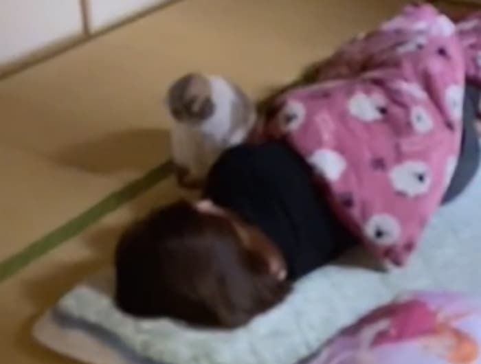 애니멀플래닛