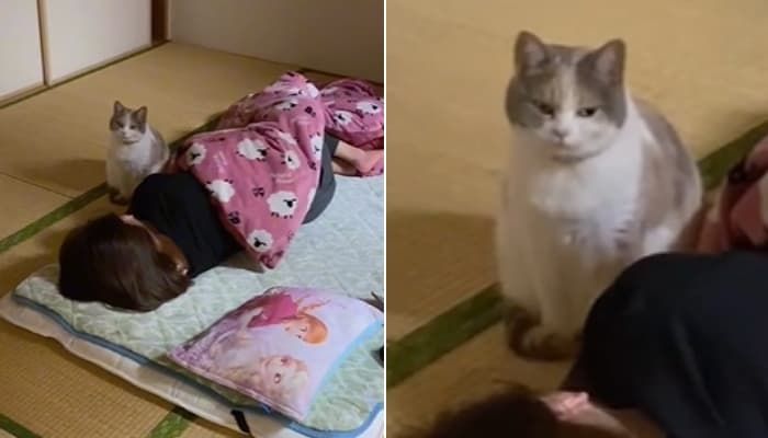 애니멀플래닛