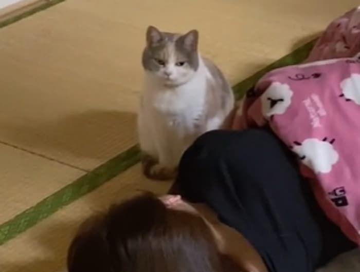 애니멀플래닛