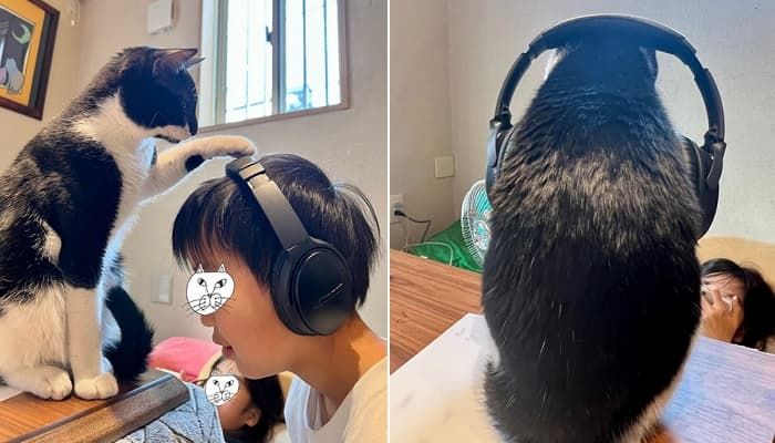 애니멀플래닛