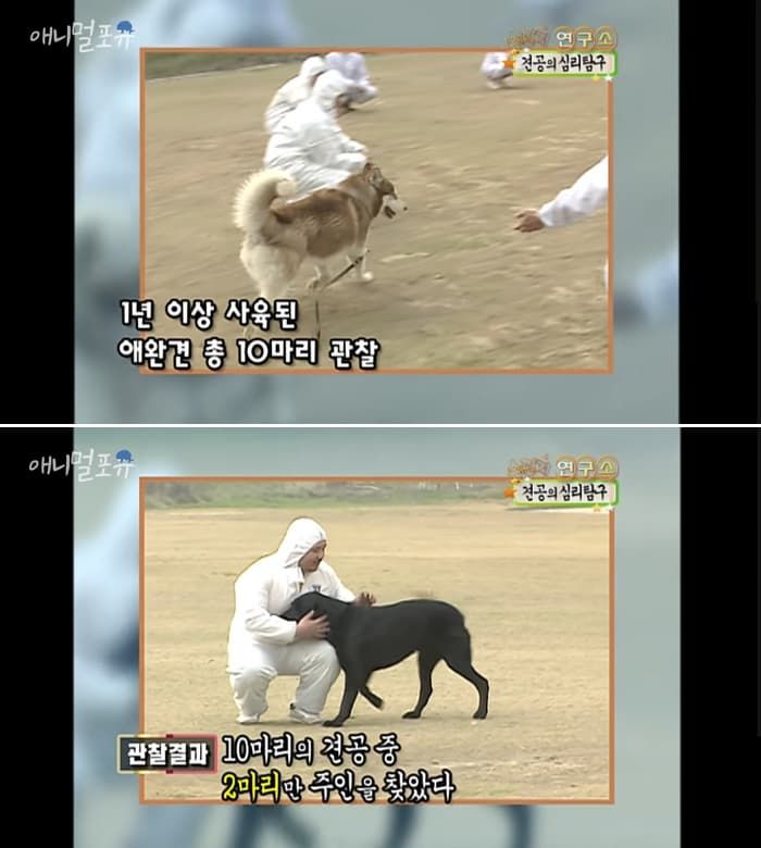 애니멀플래닛