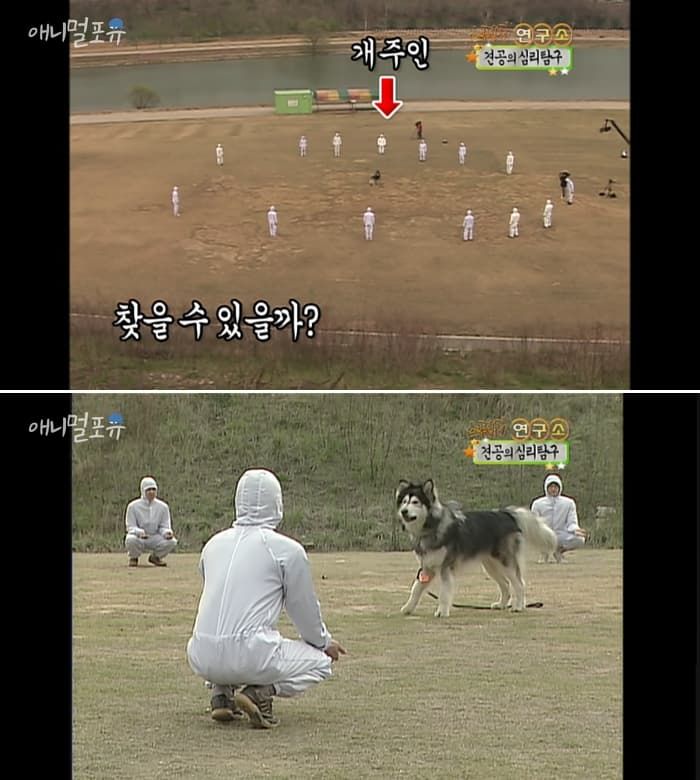 애니멀플래닛